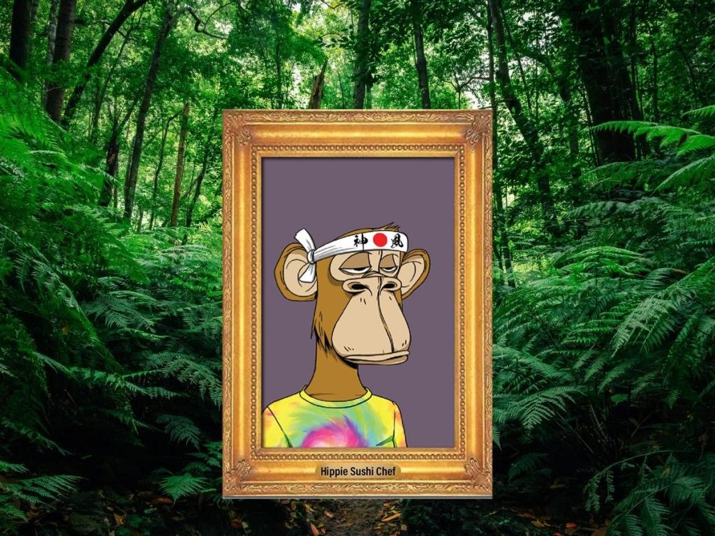 BAYC in a golden frame in a jungle