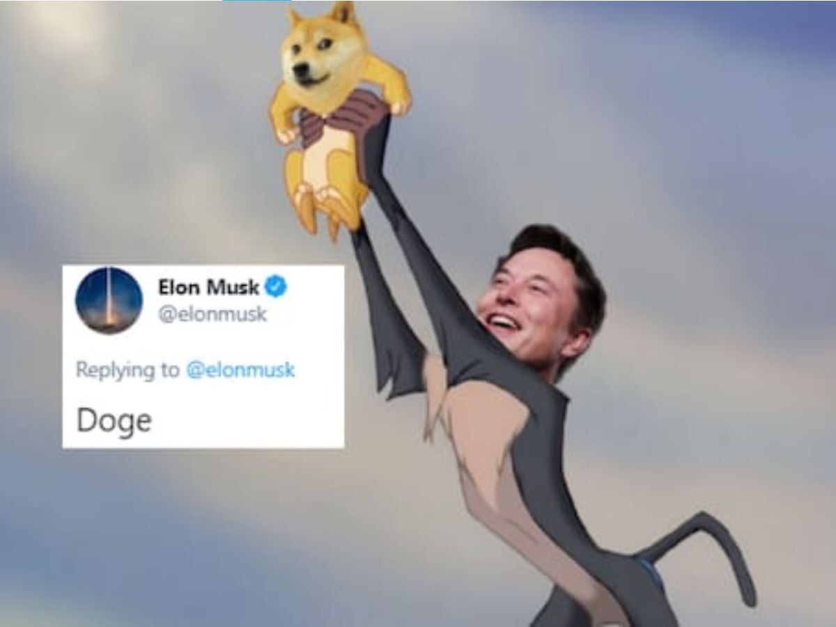 Elon Musk raises dogecoin on pride rock, meme from the Lion King.
