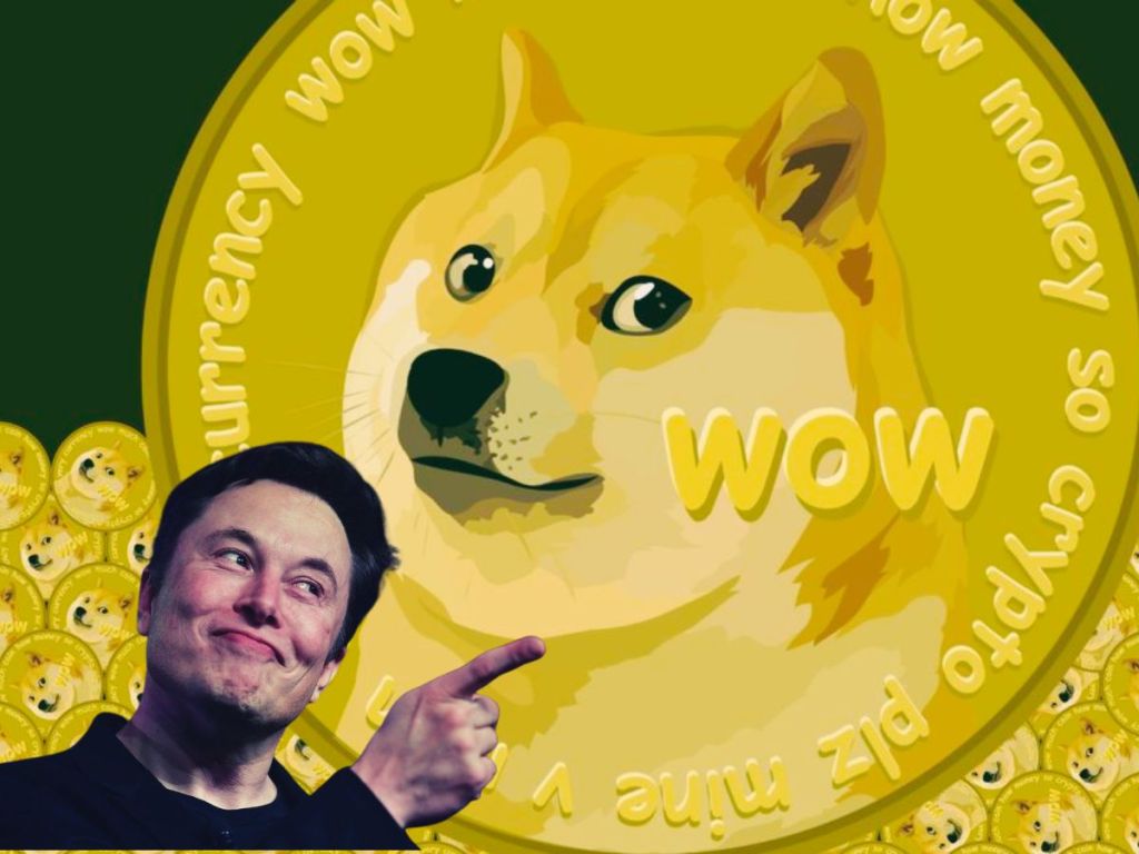Elon Musk Doge Meme
