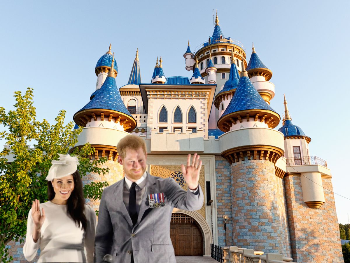 Prince Harry Meghan royal metaverse money spare