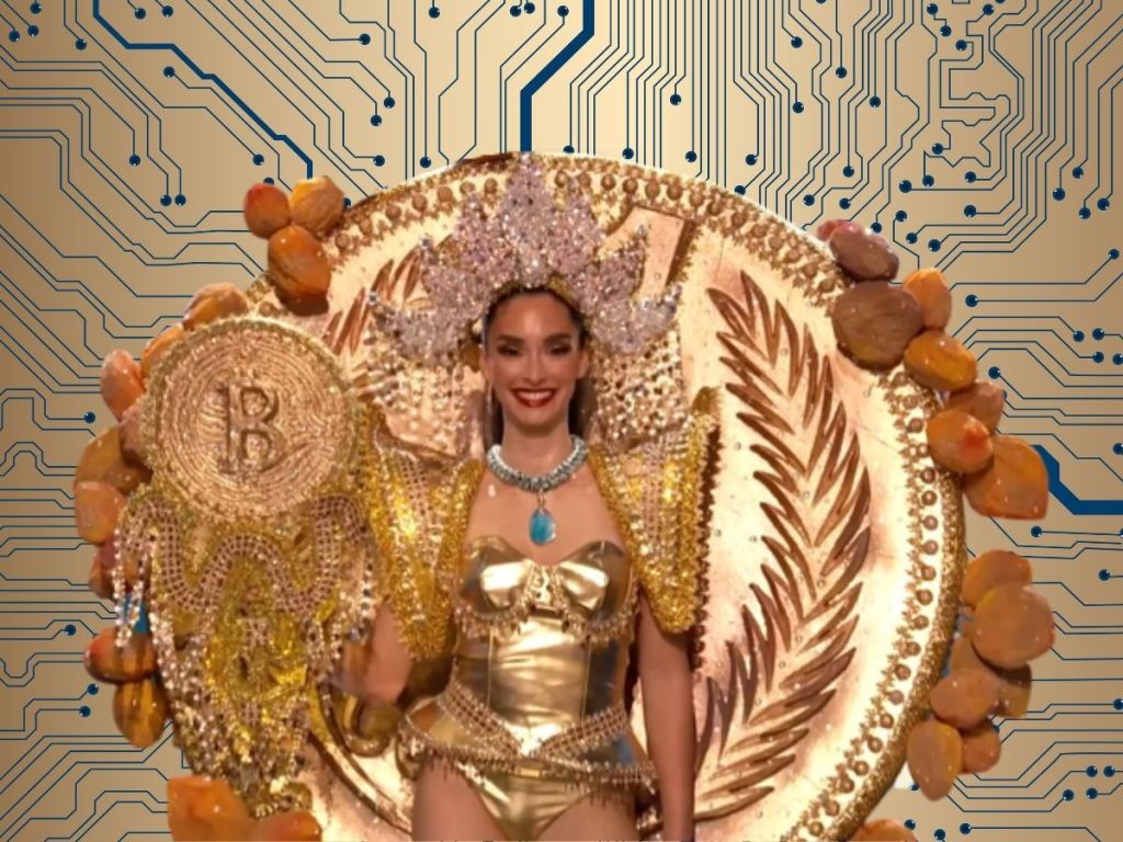Miss Universe El Salvador Sports Bitcoin Dress At 2023 Pageant