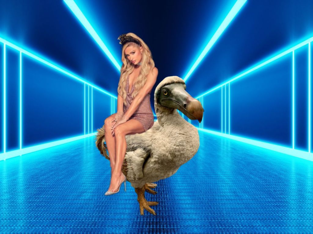 Paris Hilton & Charles Hoskinson Want to Un-Extinct the Dodo, an Extremely Normal Thing To Do