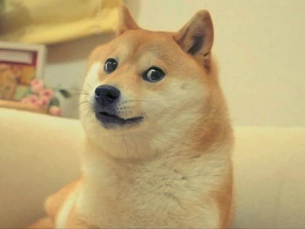 New ‘Dogumentary’ Will Chronicle the Story of the Dog Behind Dogecoin