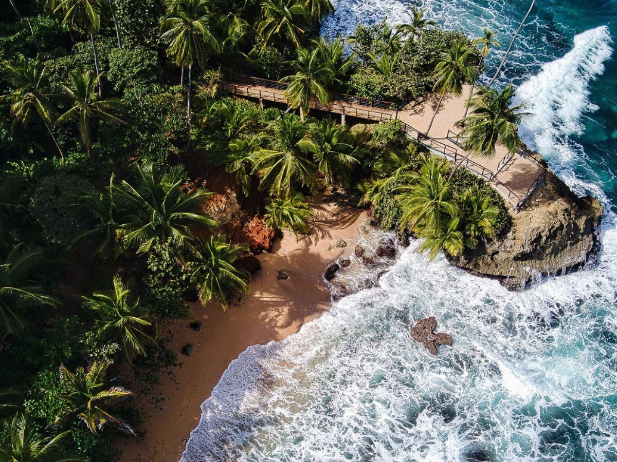 An aerial view of a beach in the Bitcoin region of Costa Rica, showing crashing waves and palm trees.
Credit: Kev Cordero, Getty.