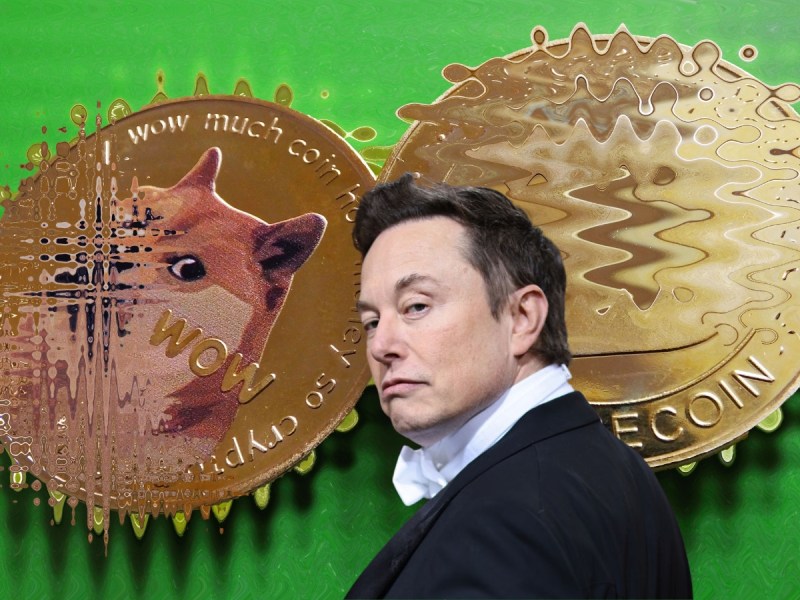 Elon Musk Dogecoin (DOGE)