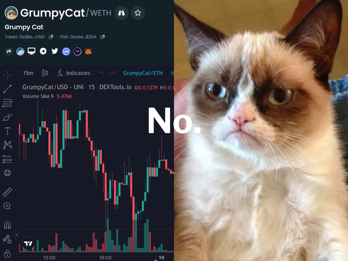 how to buy grumpy cat crypto