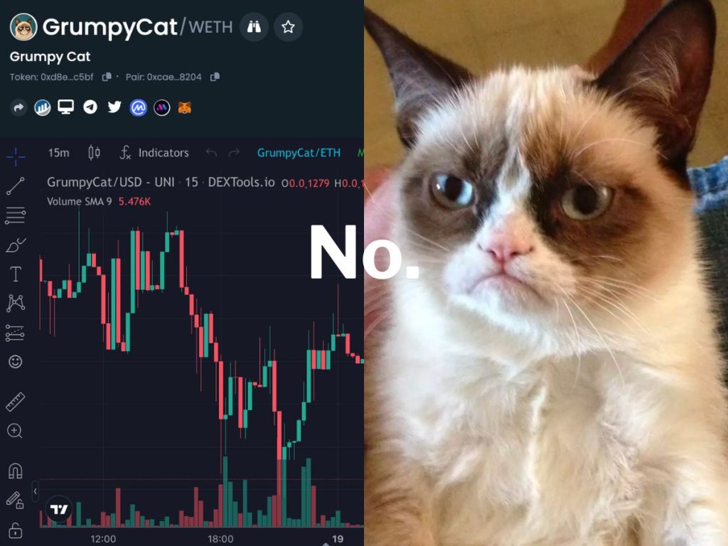 Grumpy Cat Sent An NFT Lawsuit to Crypto Bros Who Used Its Image For A Memecoin (Real Headline)