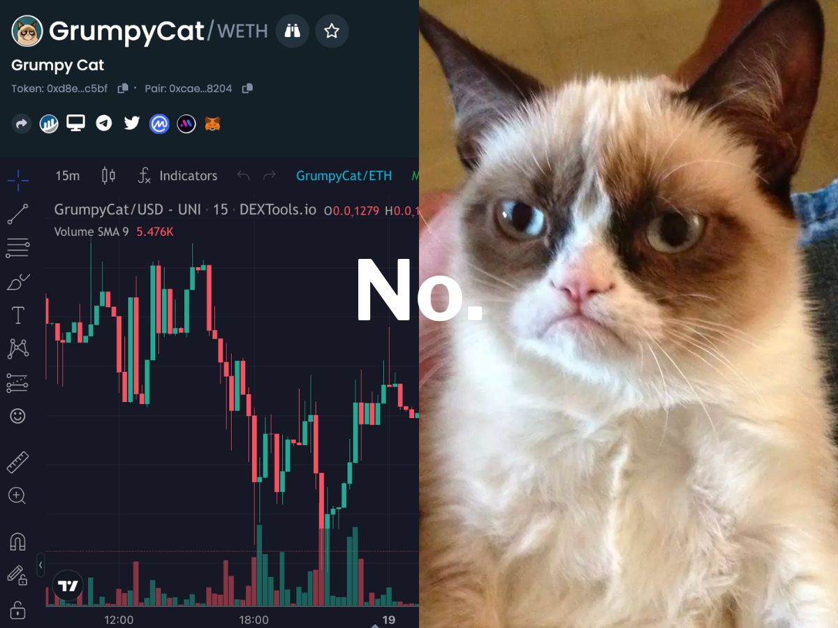 Grumpy Cat, the internet's most beloved cat, found itself the latest target of crypto bros.