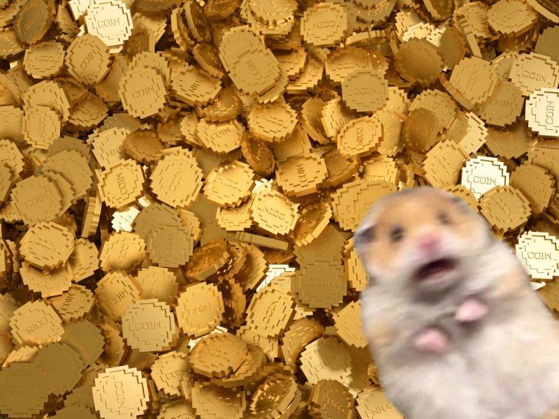 A hamster named Sunny is giving away crypto on her Twitch livestream. Image source: Getty
