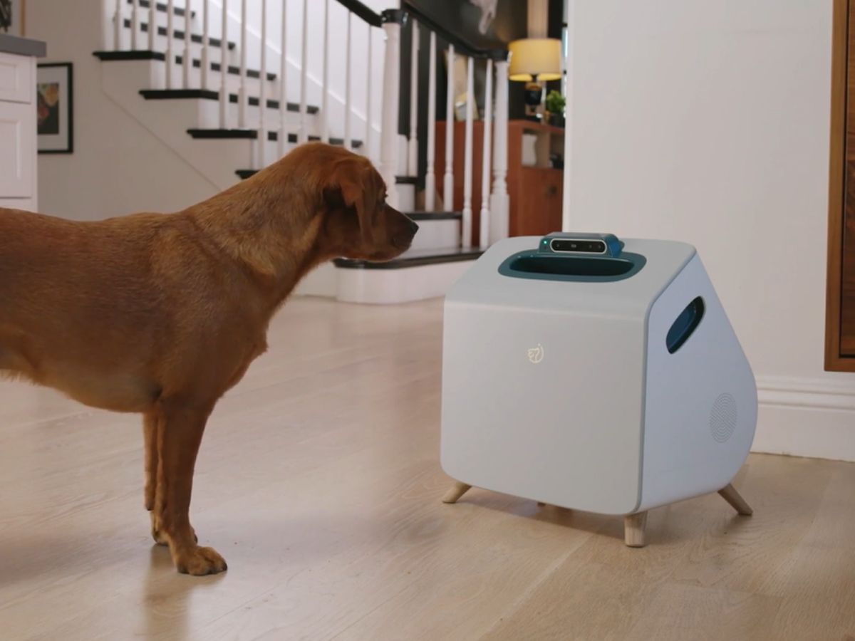 dog training robot