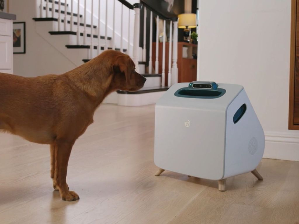 An AI-Powered Robot That Can Train Your Dog Is Hitting The Market