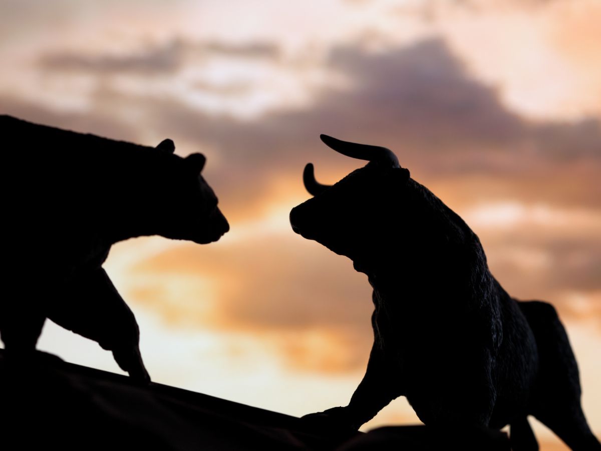 bull run bear market bull market bear crypto crypto bull run Australia bitcoin price  swyftx survey