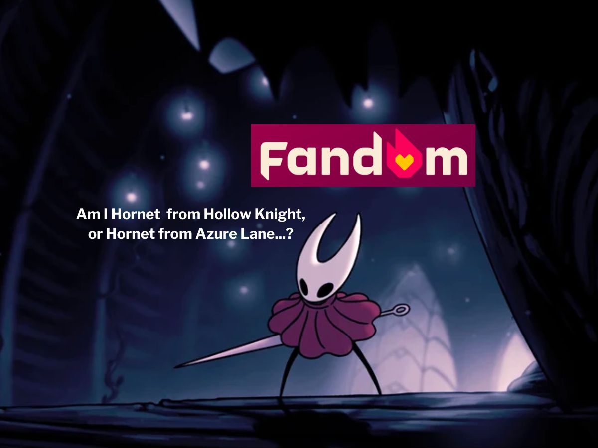 Hollow Knight - Wikipedia