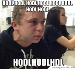 What is a Bull Market? What is a Bear Market? What is HoDL? crypto