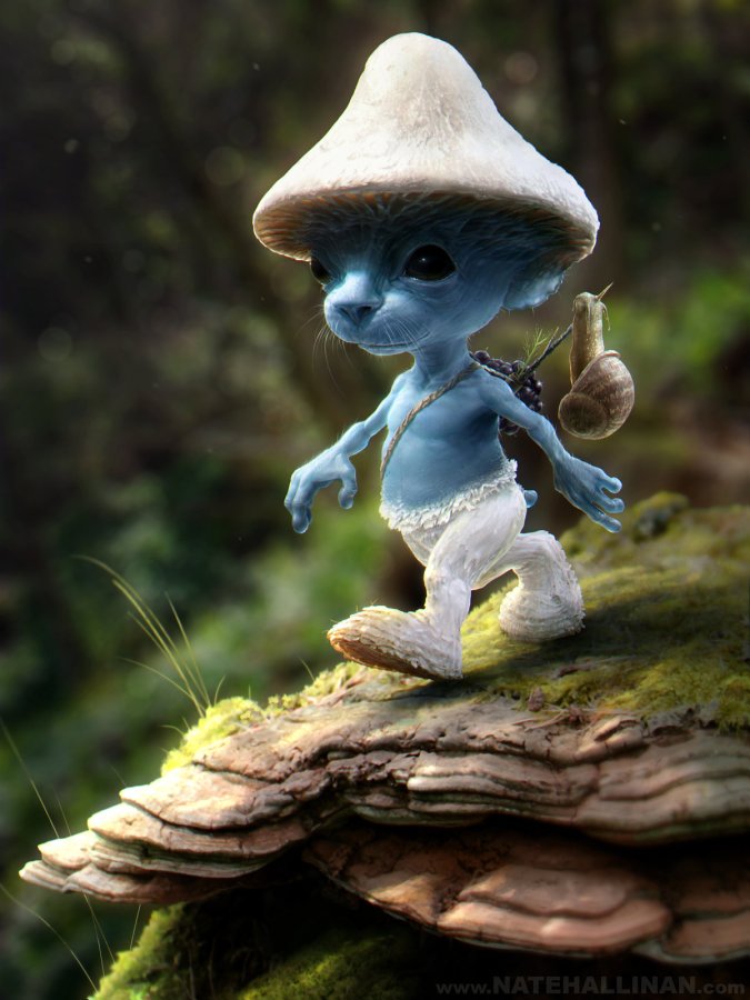 Cat dressed as smurf in the forest