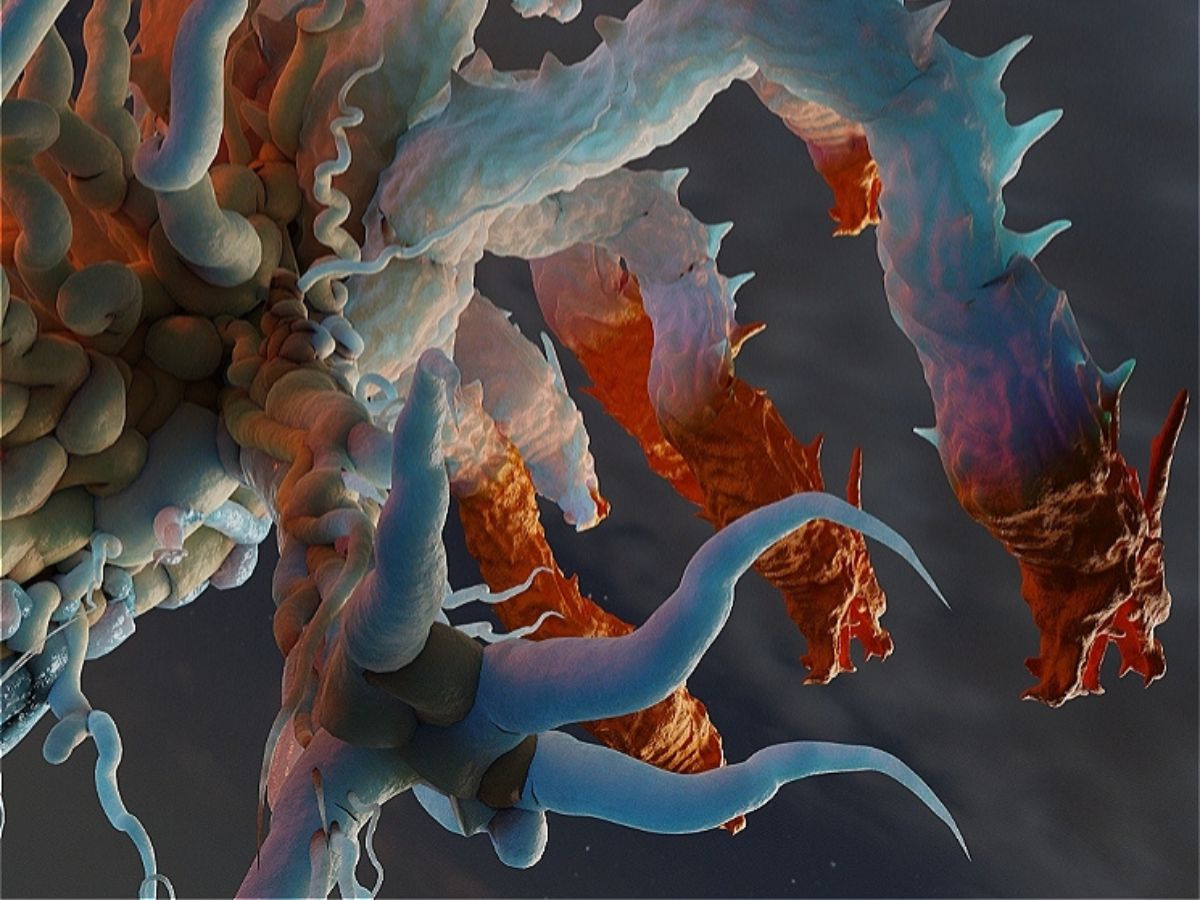 Melbourne Fringe Festival 2023: Four Must-Try Epic VR And AI Experiences