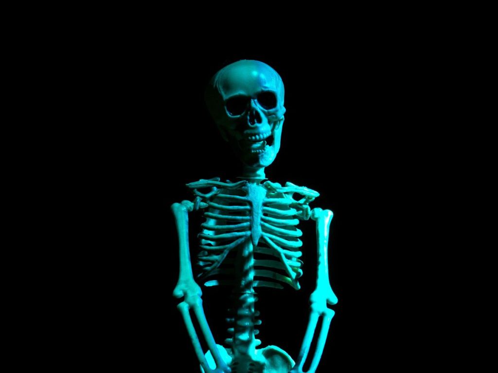 Skeleton with black background